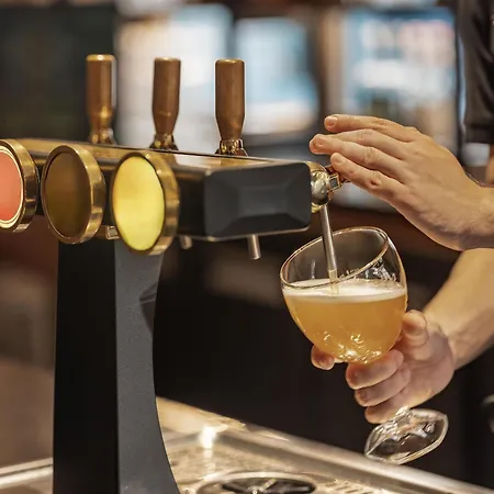 Ibis Gare Montparnasse Catalogne 3* Parigi